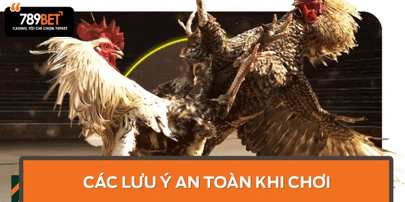 Các lưu ý an toàn khi chơi